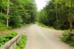 2014-07-05_Laengental-N-Hochweg (223). JPG